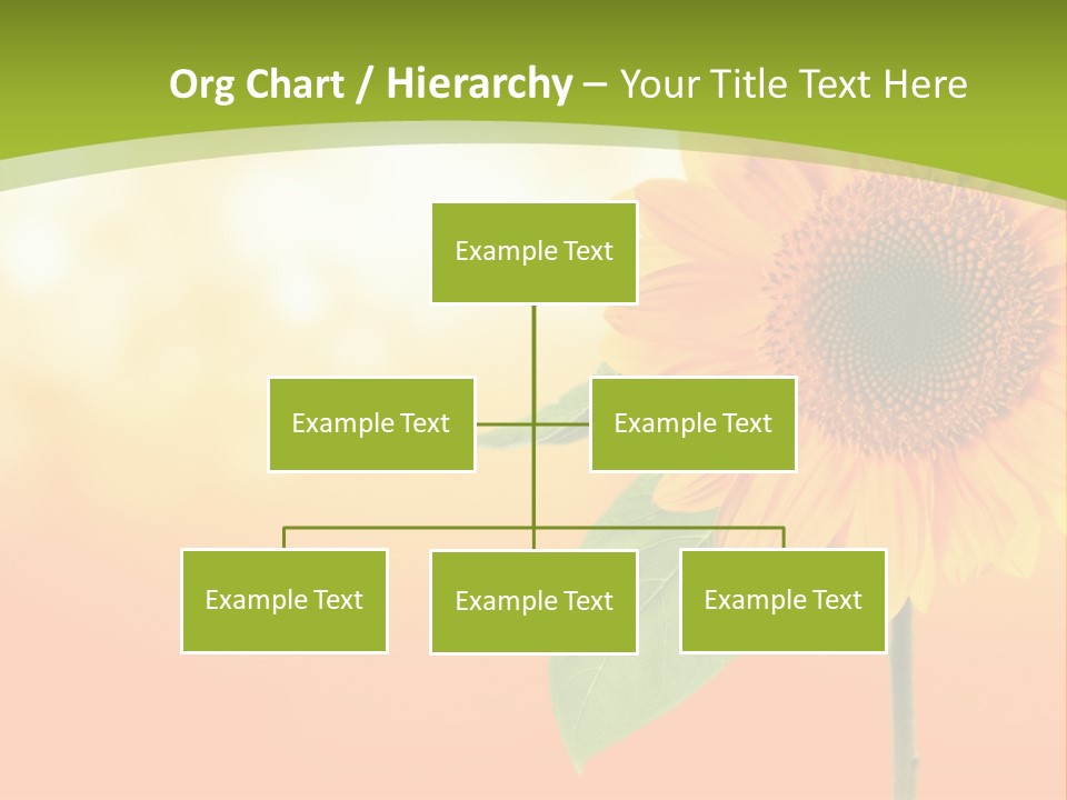 Company Li Ten Humor PowerPoint Template