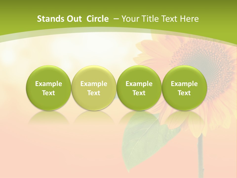 Company Li Ten Humor PowerPoint Template