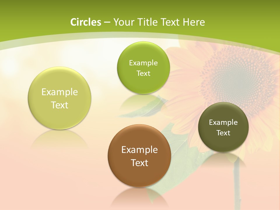 Company Li Ten Humor PowerPoint Template