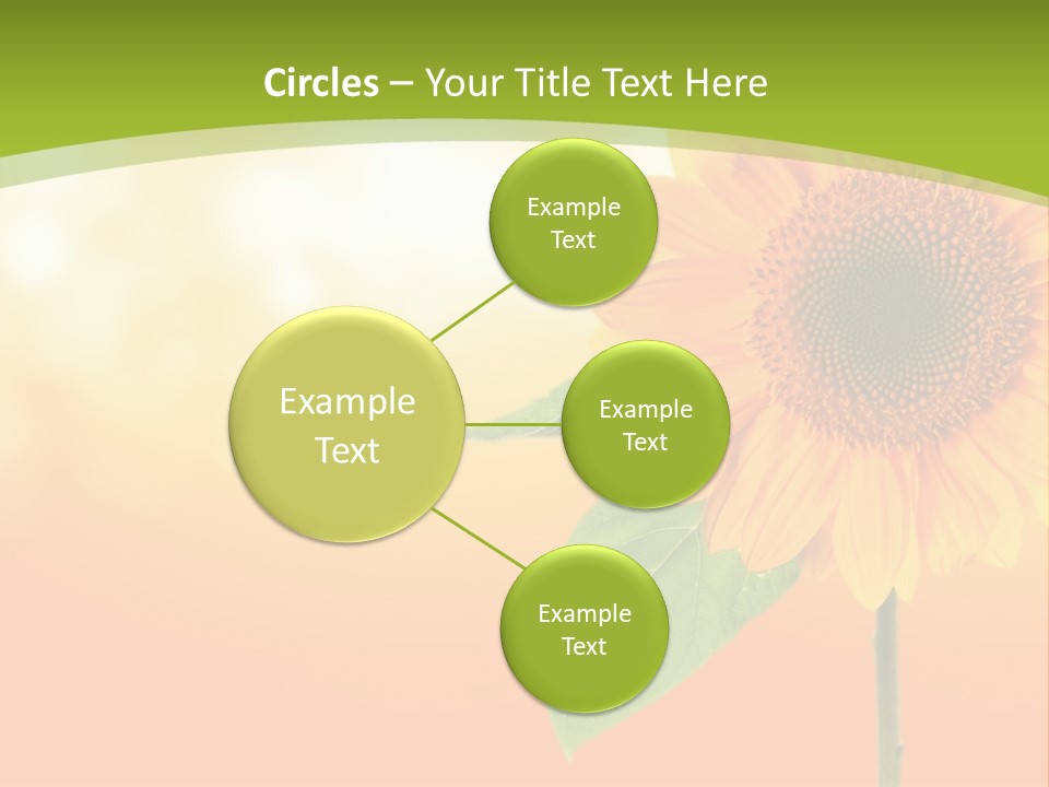 Company Li Ten Humor PowerPoint Template