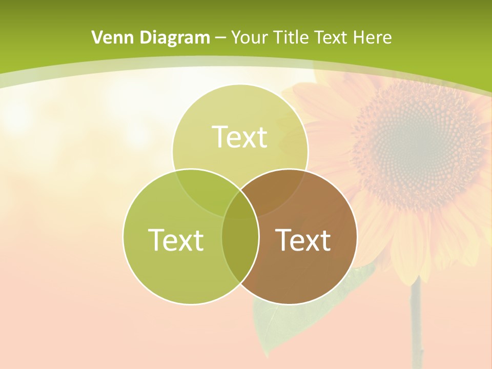 Company Li Ten Humor PowerPoint Template