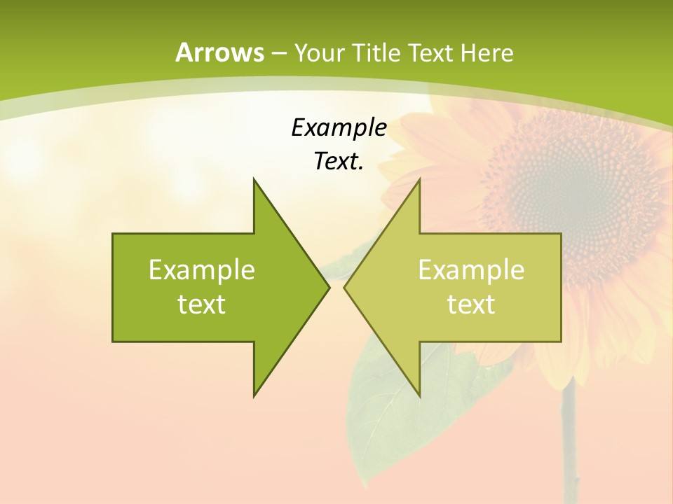 Company Li Ten Humor PowerPoint Template