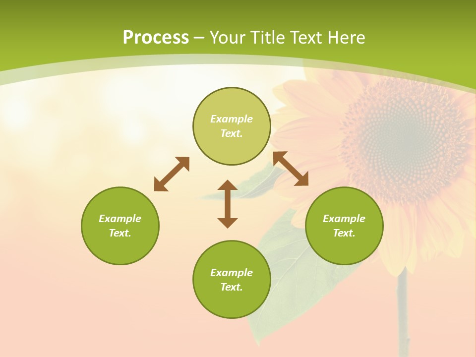 Company Li Ten Humor PowerPoint Template