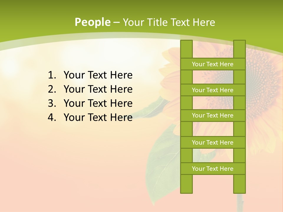 Company Li Ten Humor PowerPoint Template