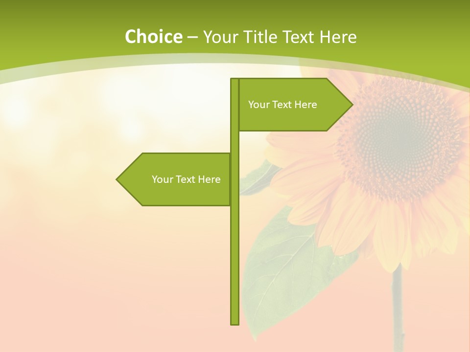 Company Li Ten Humor PowerPoint Template