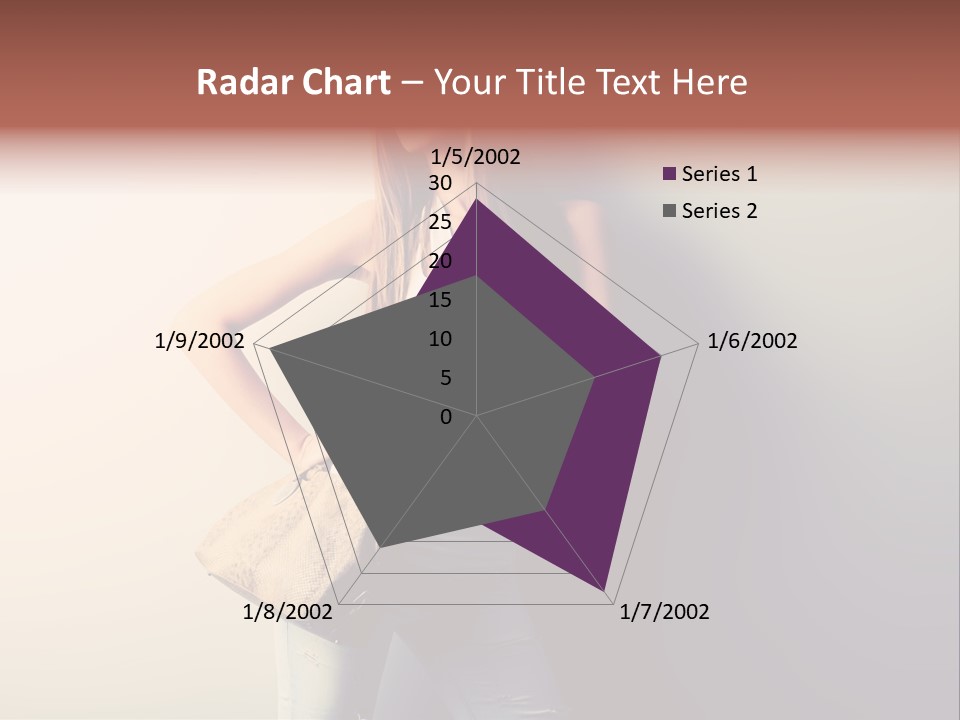 Elegant Modern Bag PowerPoint Template