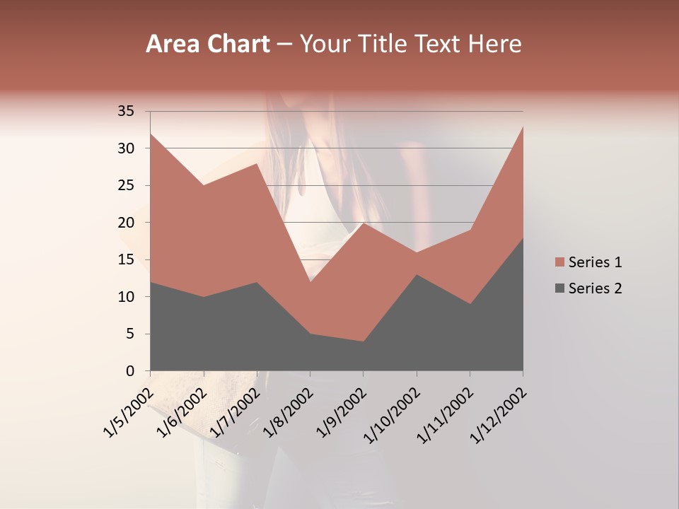 Elegant Modern Bag PowerPoint Template