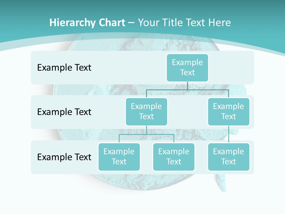 Macro Color Isolated On White PowerPoint Template