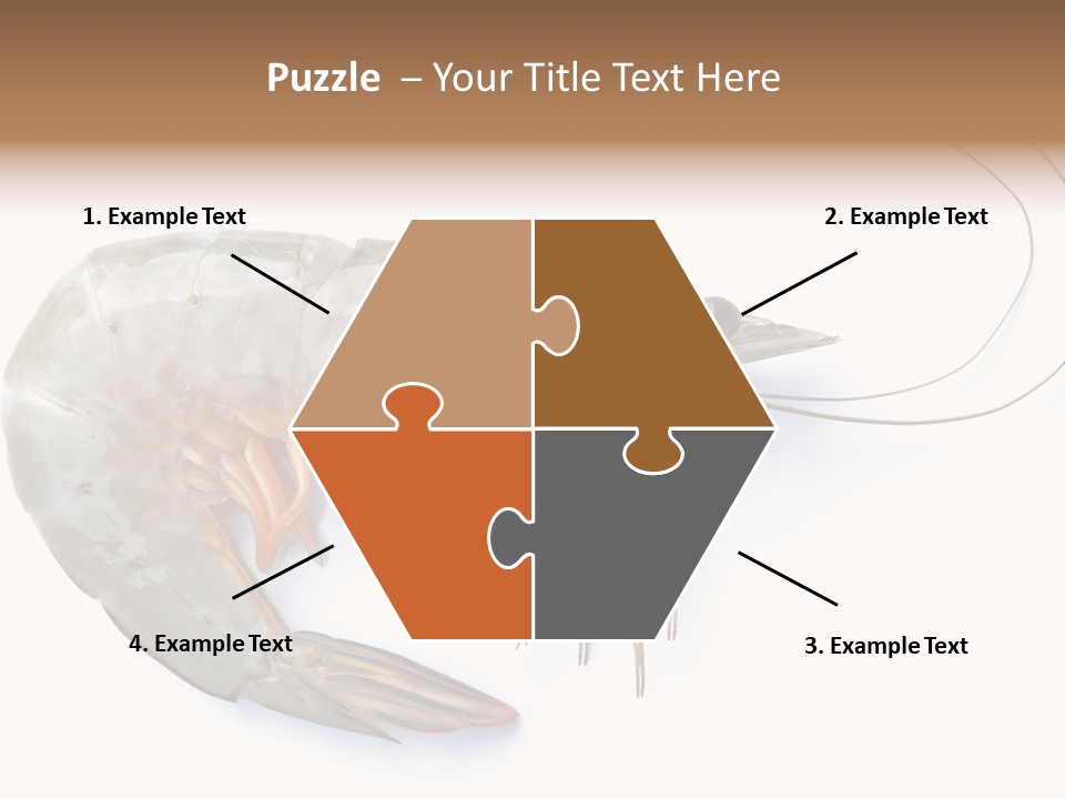 Background Shot White PowerPoint Template