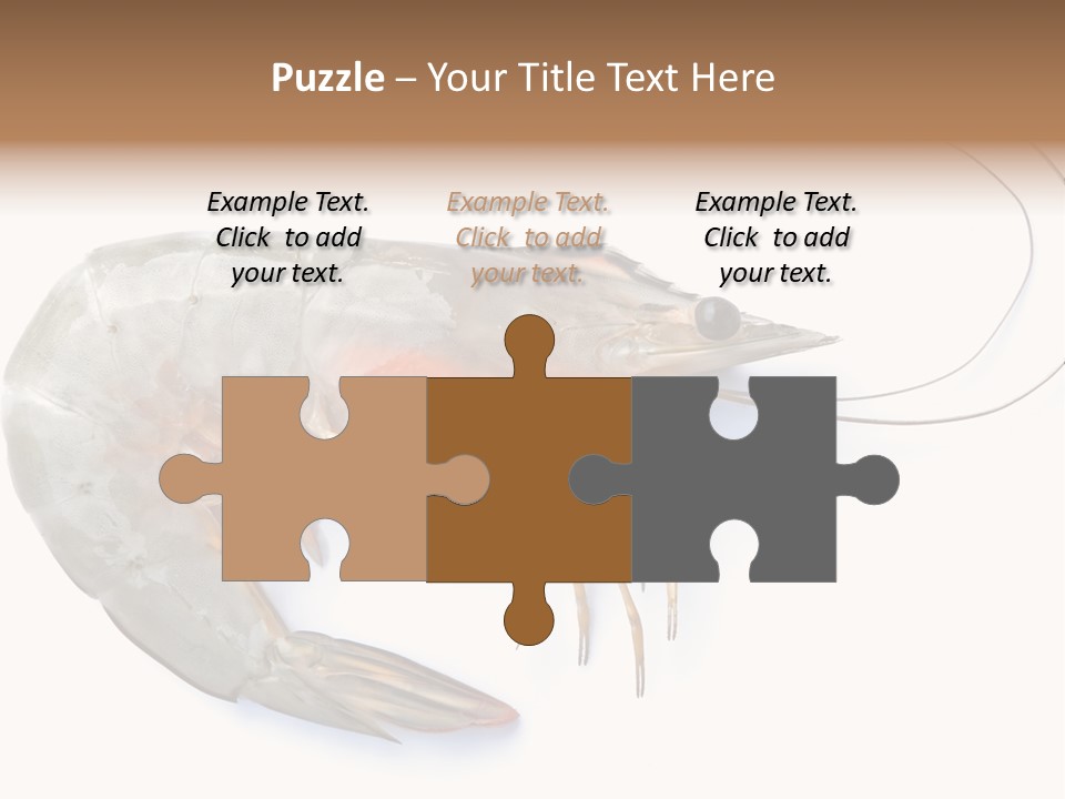 Background Shot White PowerPoint Template