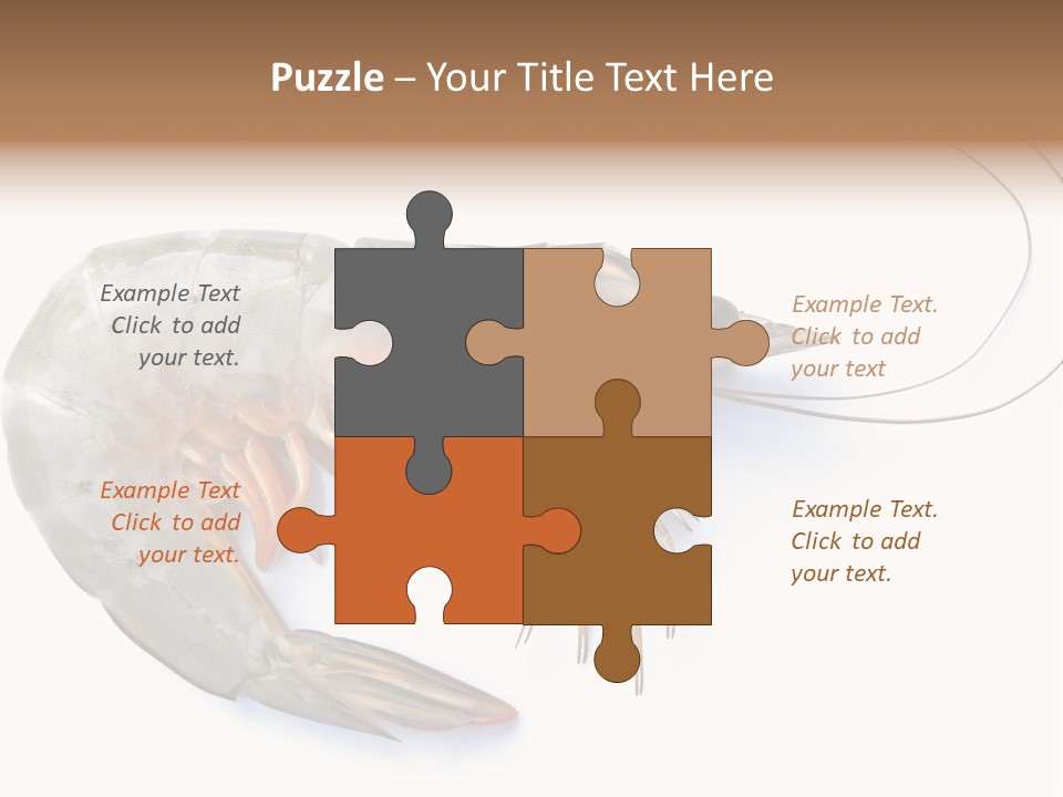 Background Shot White PowerPoint Template