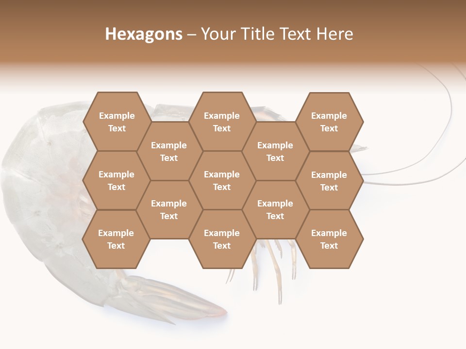 Background Shot White PowerPoint Template