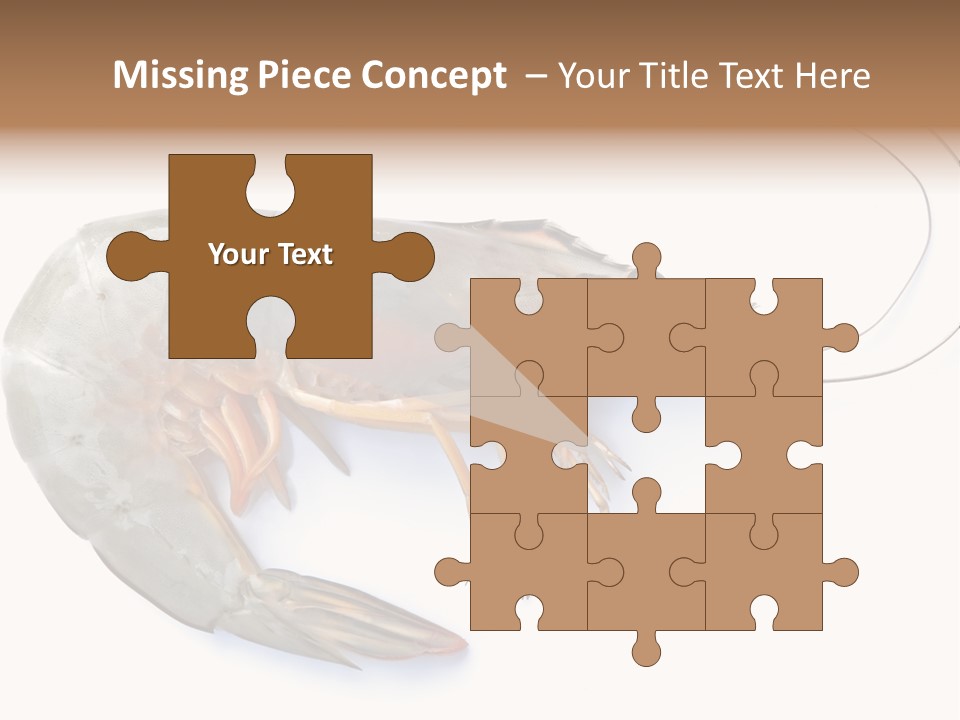 Background Shot White PowerPoint Template