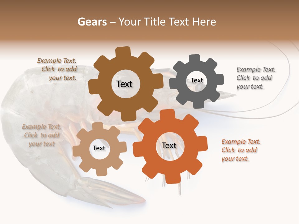 Background Shot White PowerPoint Template