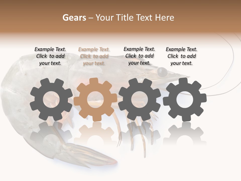 Background Shot White PowerPoint Template