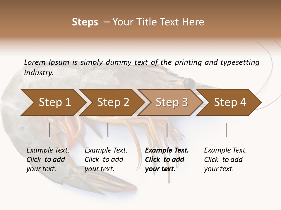 Background Shot White PowerPoint Template