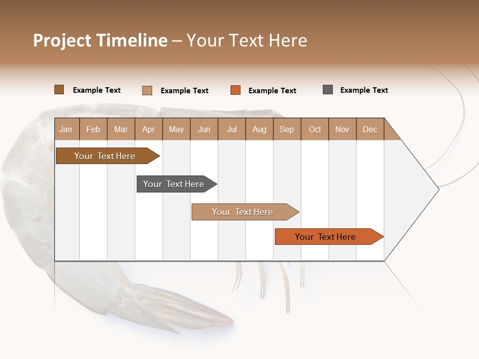 Background Shot White PowerPoint Template
