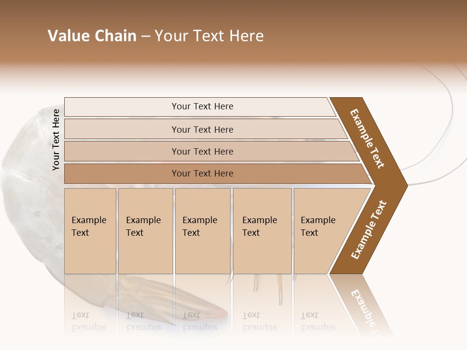 Background Shot White PowerPoint Template