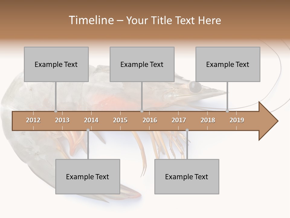 Background Shot White PowerPoint Template