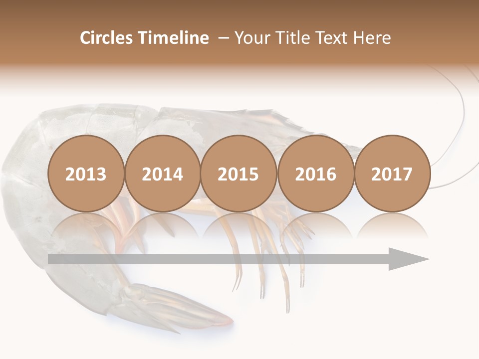 Background Shot White PowerPoint Template