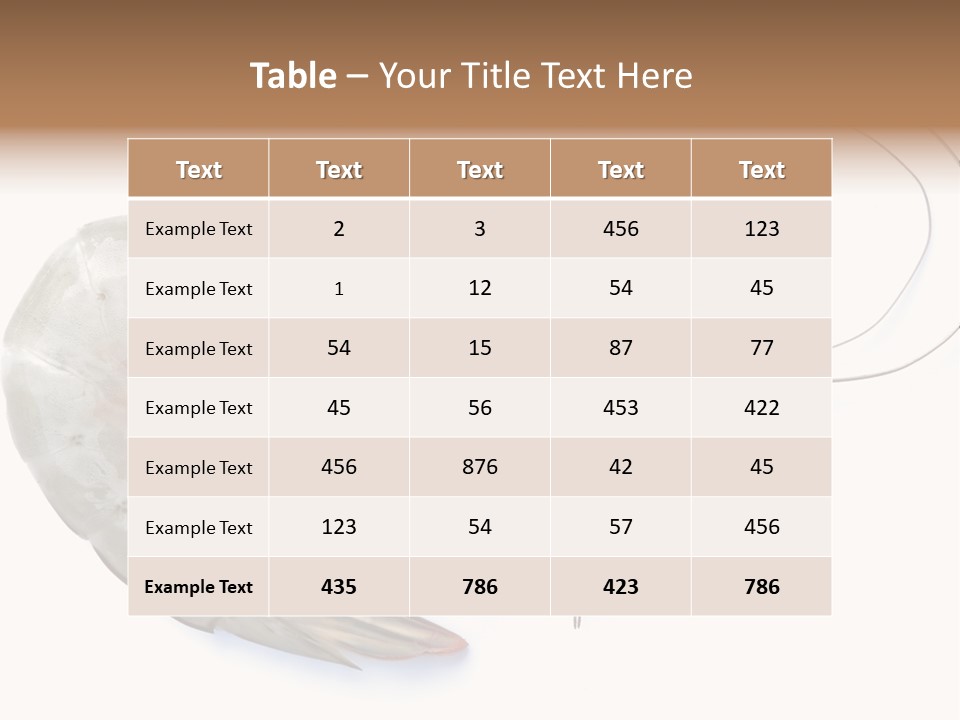 Background Shot White PowerPoint Template