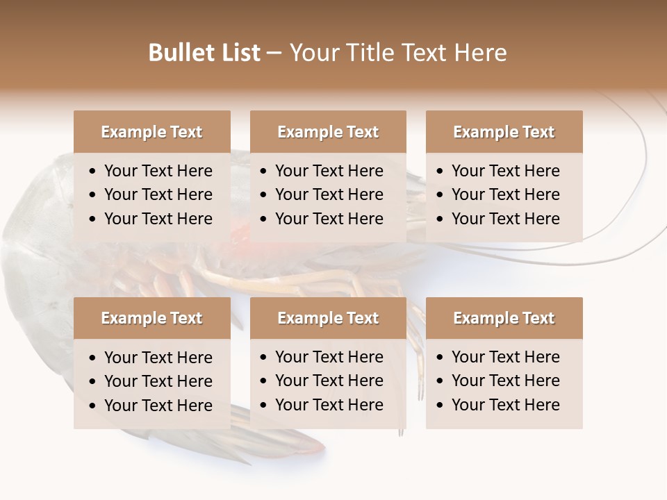 Background Shot White PowerPoint Template