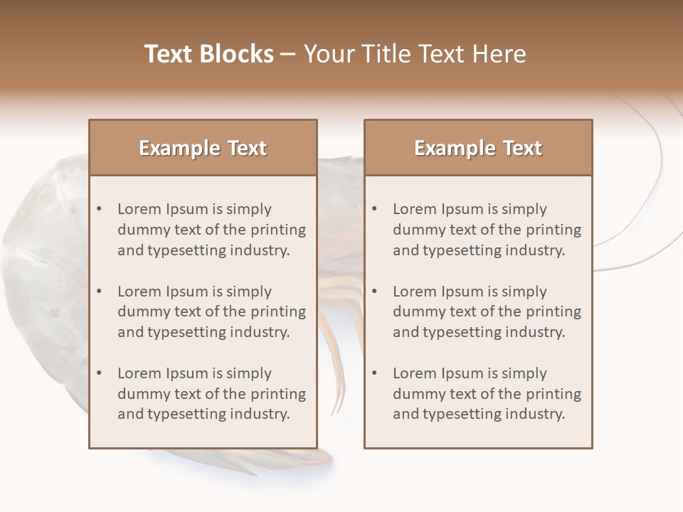 Background Shot White PowerPoint Template