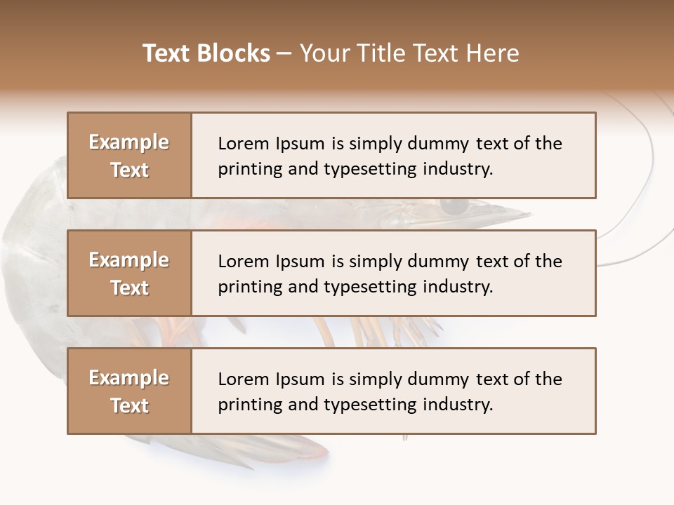 Background Shot White PowerPoint Template