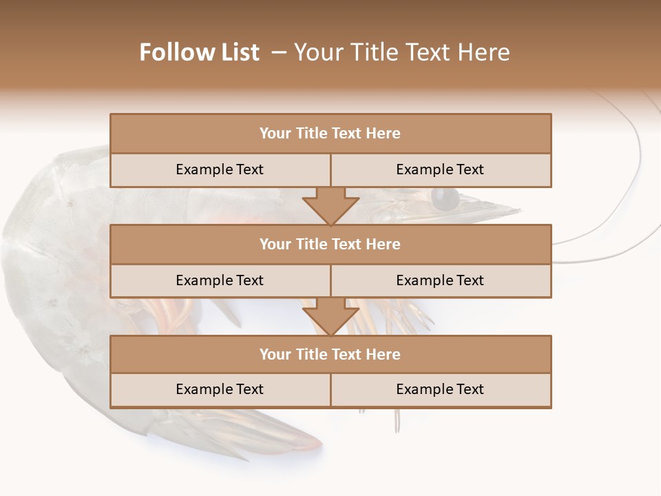 Background Shot White PowerPoint Template