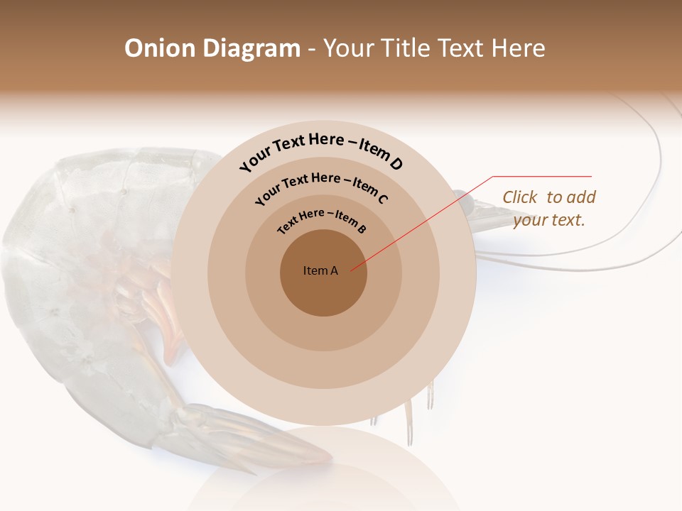 Background Shot White PowerPoint Template