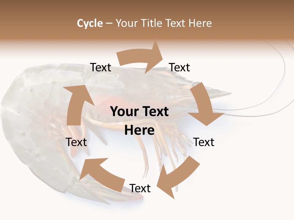 Background Shot White PowerPoint Template