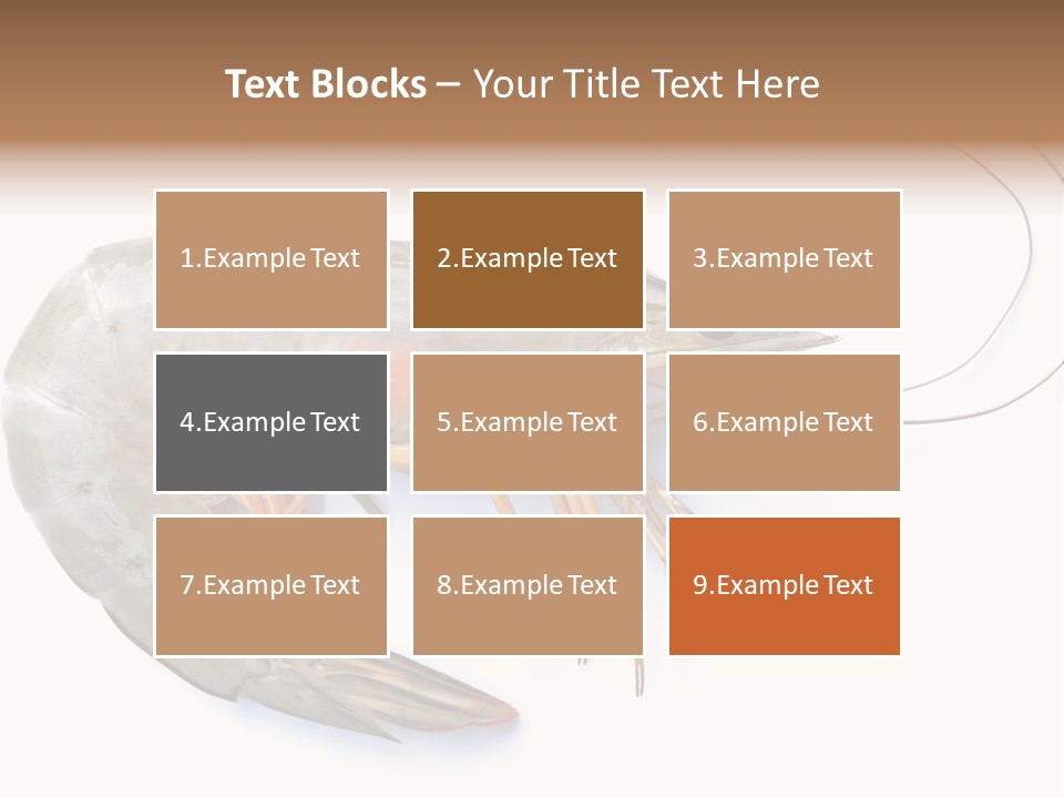 Background Shot White PowerPoint Template