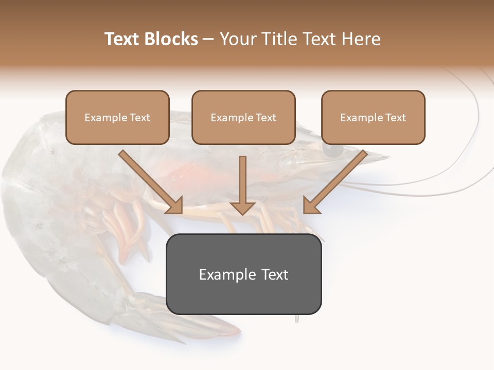Background Shot White PowerPoint Template