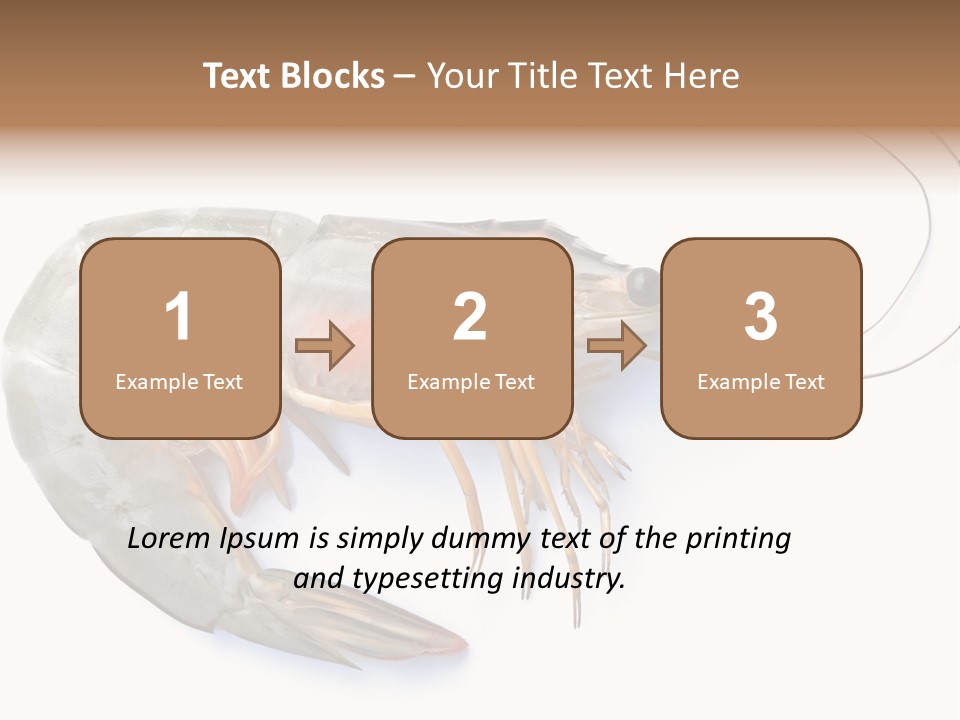 Background Shot White PowerPoint Template