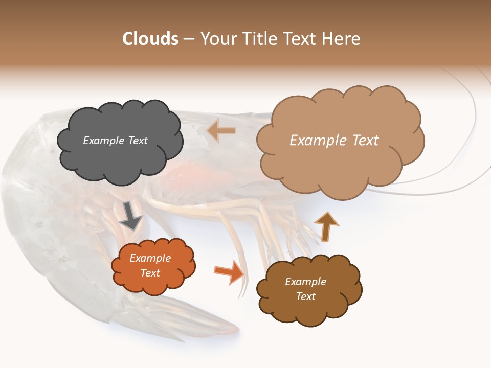 Background Shot White PowerPoint Template