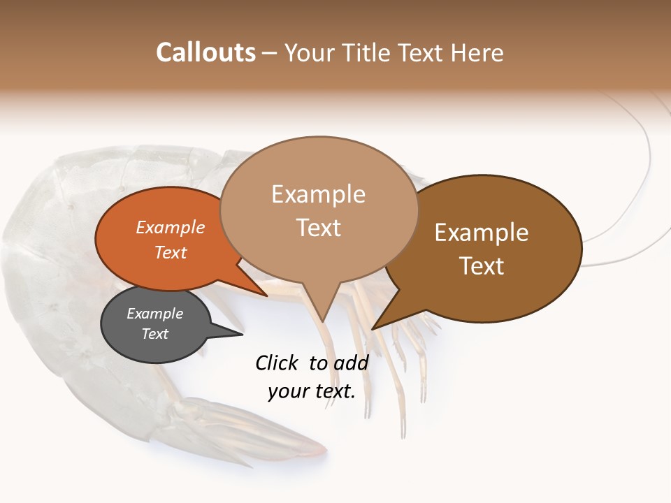 Background Shot White PowerPoint Template