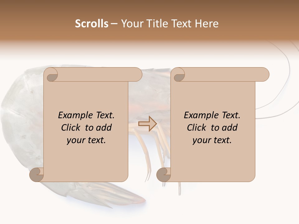 Background Shot White PowerPoint Template