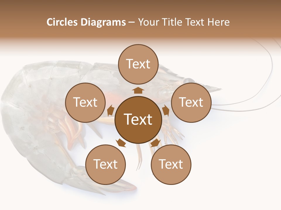 Background Shot White PowerPoint Template