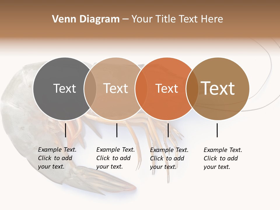 Background Shot White PowerPoint Template