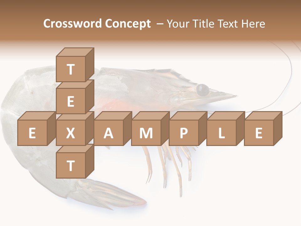 Background Shot White PowerPoint Template