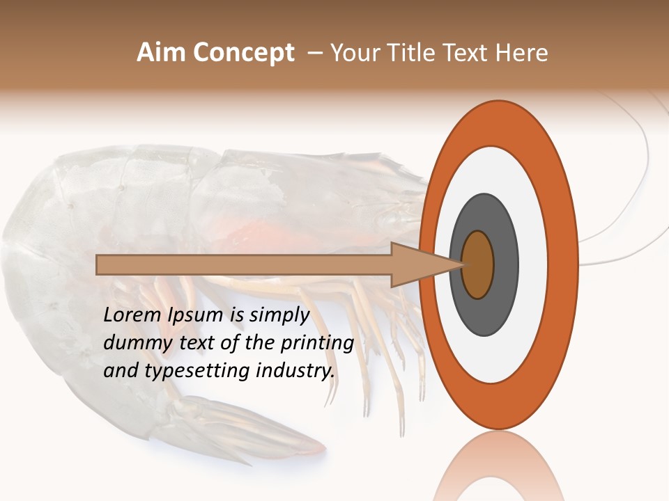 Background Shot White PowerPoint Template