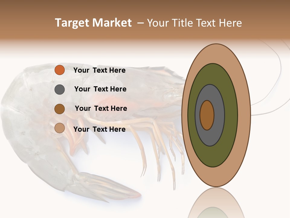 Background Shot White PowerPoint Template