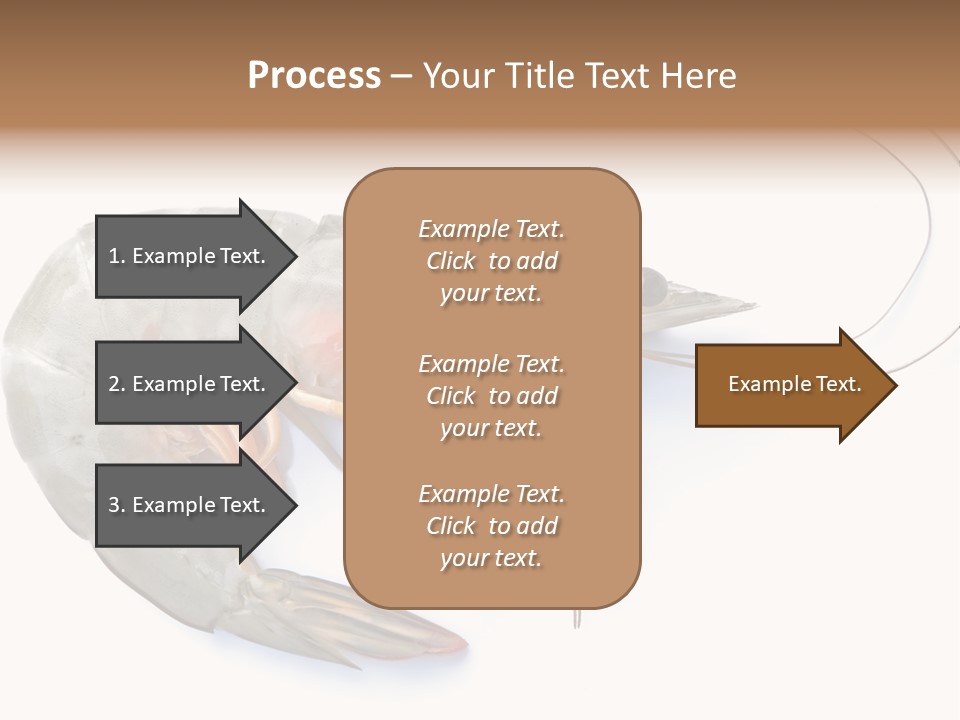 Background Shot White PowerPoint Template