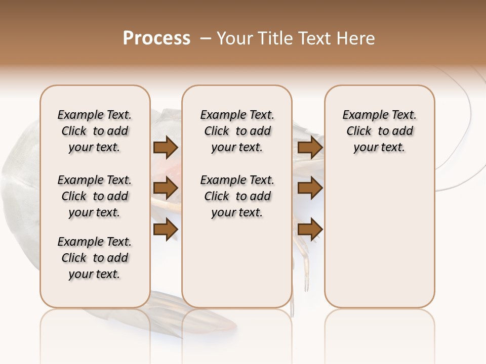 Background Shot White PowerPoint Template