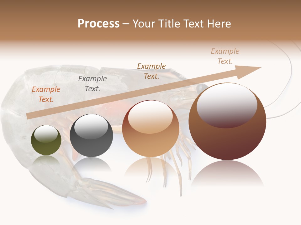 Background Shot White PowerPoint Template