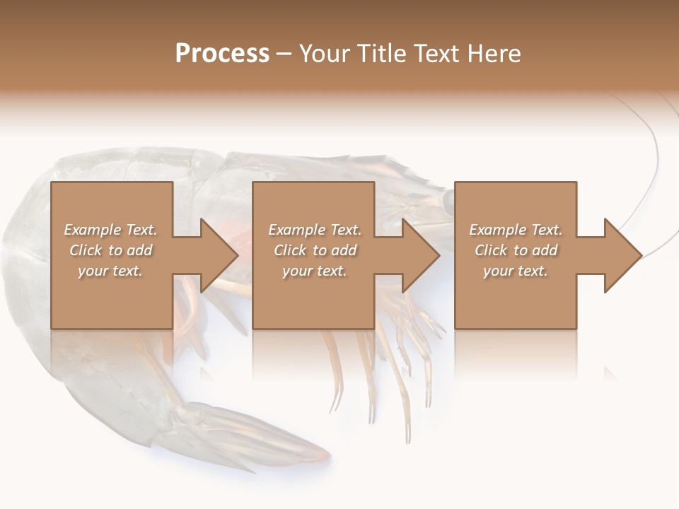 Background Shot White PowerPoint Template