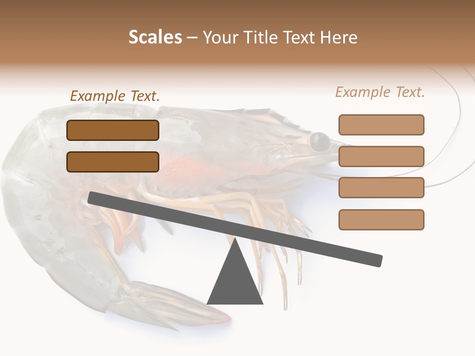 Background Shot White PowerPoint Template