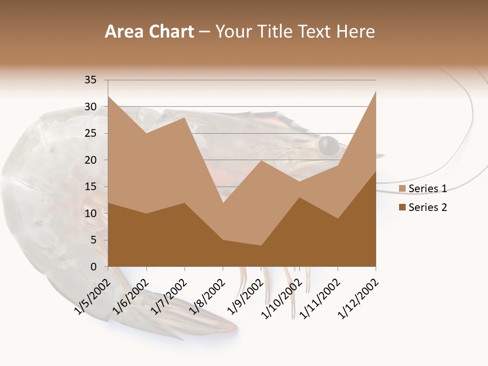 Background Shot White PowerPoint Template