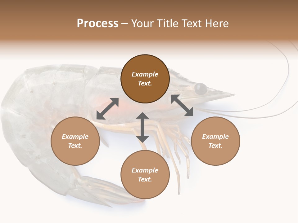 Background Shot White PowerPoint Template