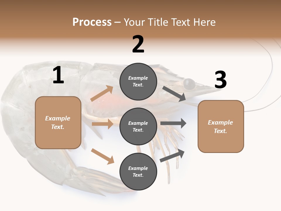 Background Shot White PowerPoint Template